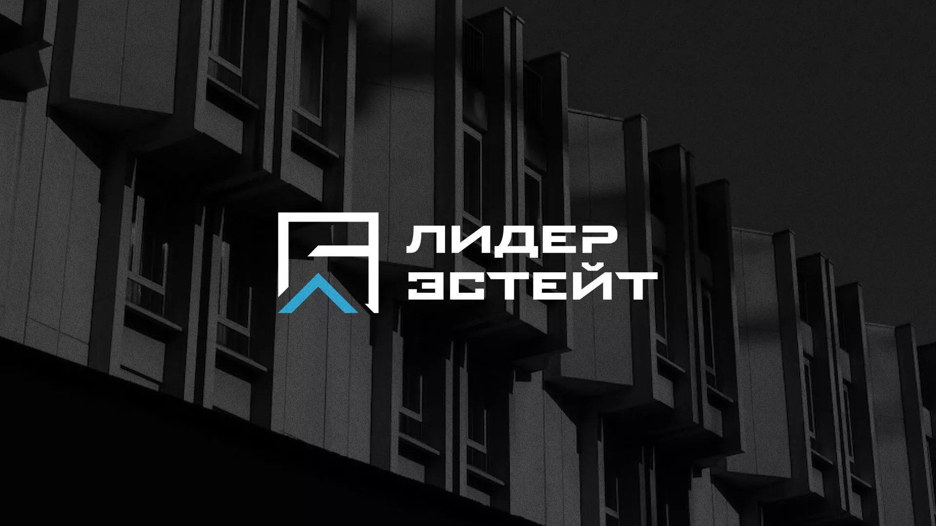 Разработка логотипа агентства недвижимости «Лидер Эстейт» в Снежногорске